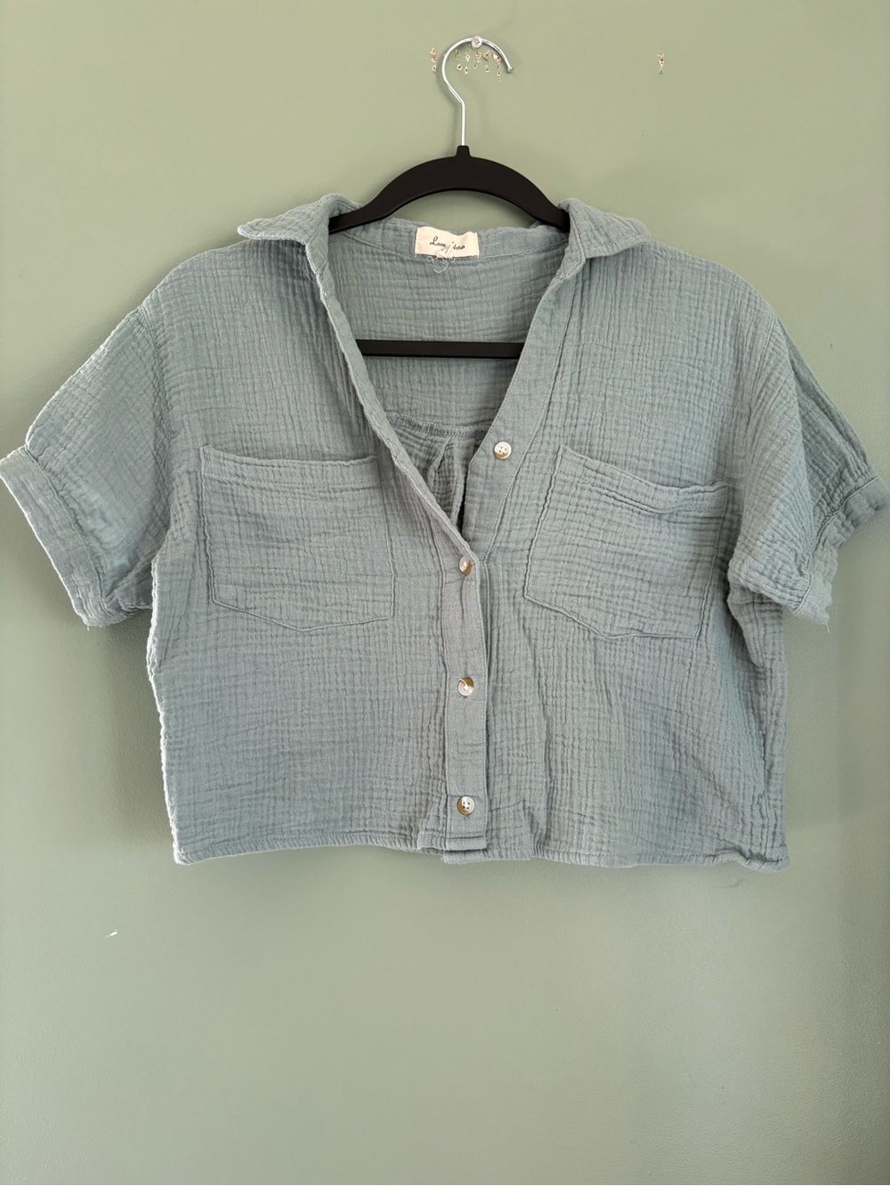 Love Notes Light Blue Gauze Button-Down Crop Shirt